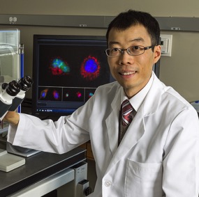 2016 Hartwell Investigator Ho Lam (Hogan) Tang, Ph.D., The Johns Hopkins University